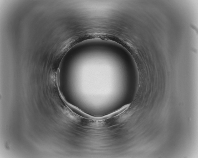 X0000096460288200801241413
