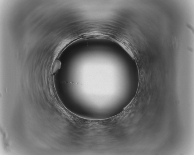 X0000096460289200801241413