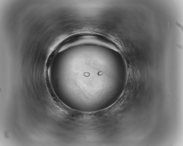 X0000096460292200801241413