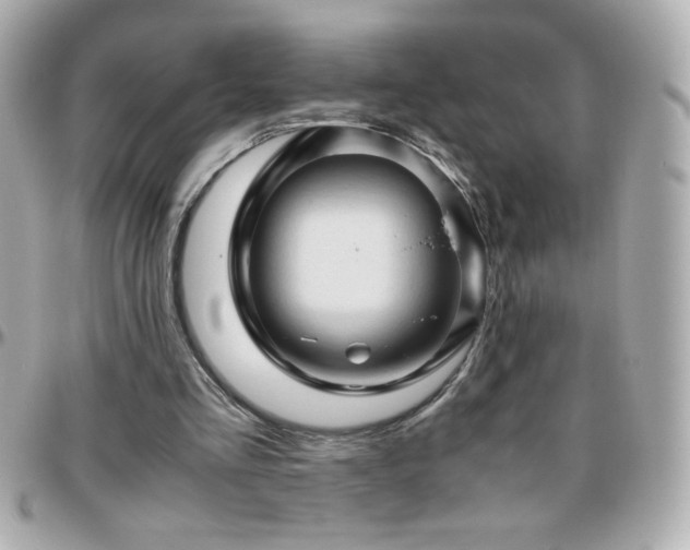 X0000096460293200801241413