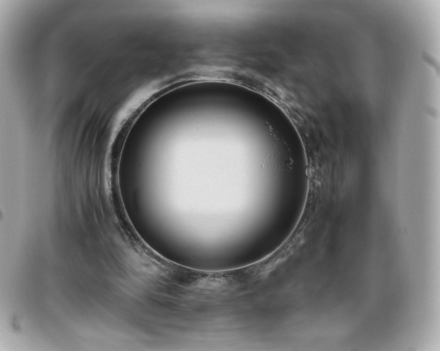 X0000096460294200801241413