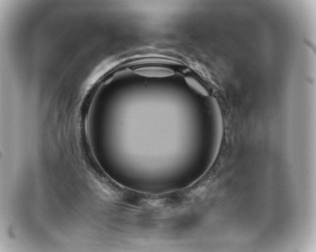 X0000096460295200801241413