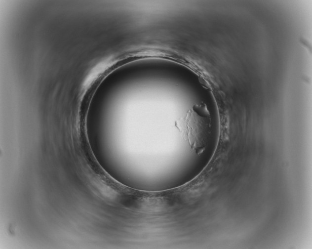X0000096460296200801241413