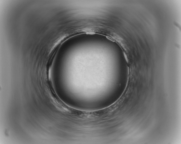 X0000096460297200801241412