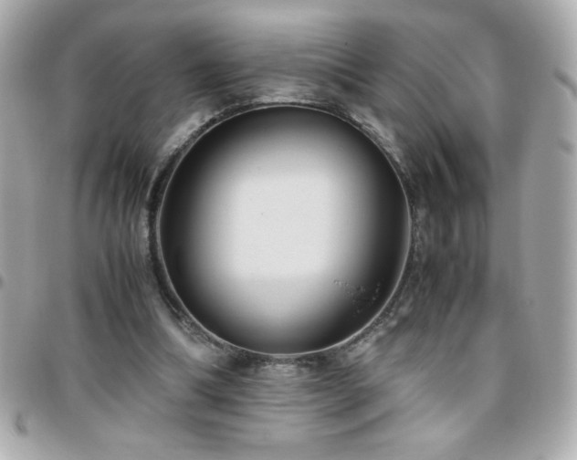 X0000096460298200801241412