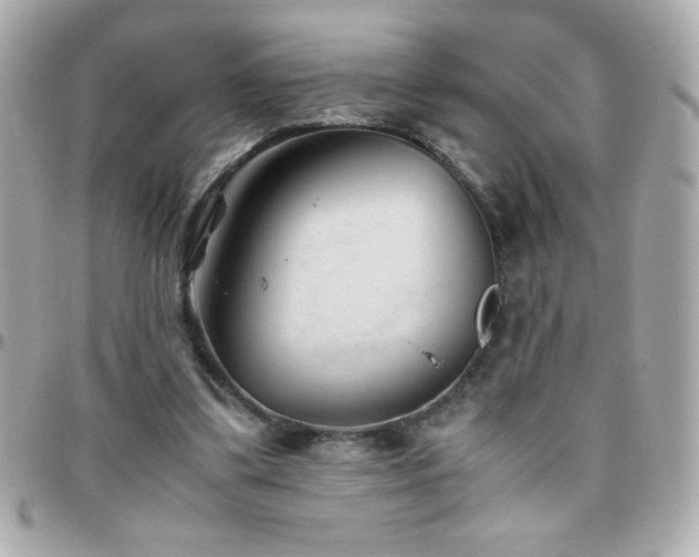 X0000096460299200801241412