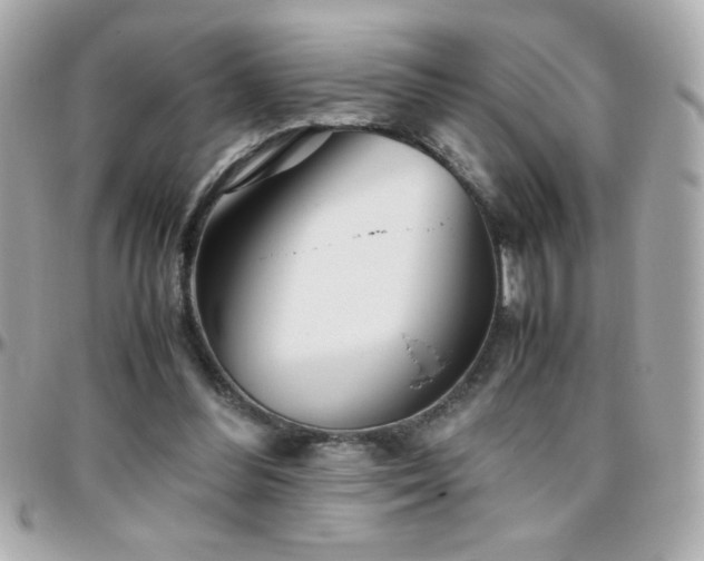 X0000096460300200801241412