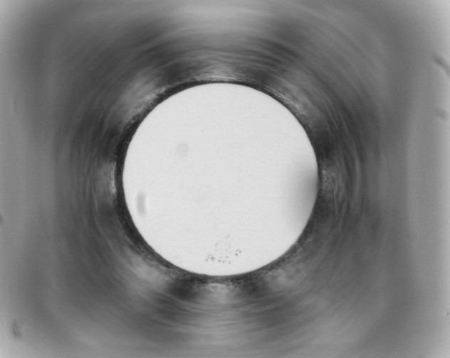 X0000096460302200801241412
