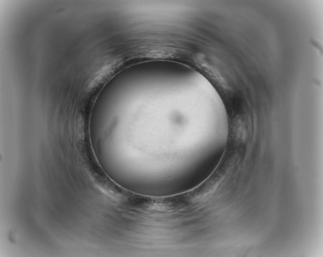 X0000096460303200801241412