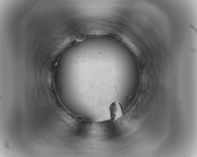 X0000096460305200801241412