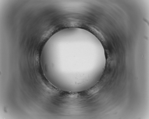 X0000096460306200801241412