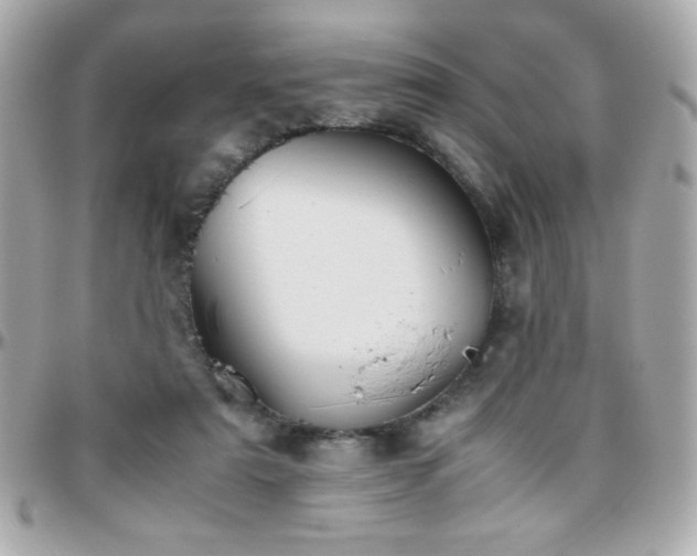 X0000096460307200801241412