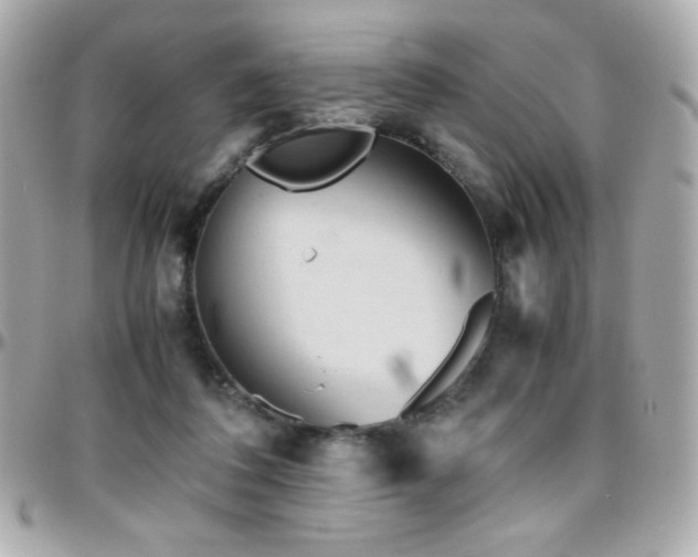 X0000096460308200801241412