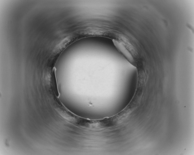X0000096460309200801241412