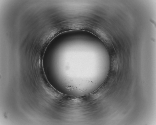 X0000096460310200801241412