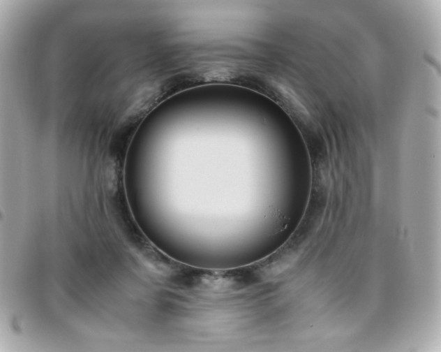 X0000096460311200801241412