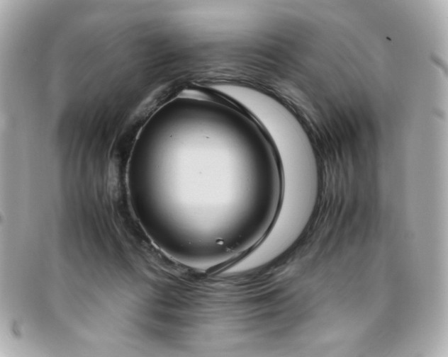 X0000096460312200801241412