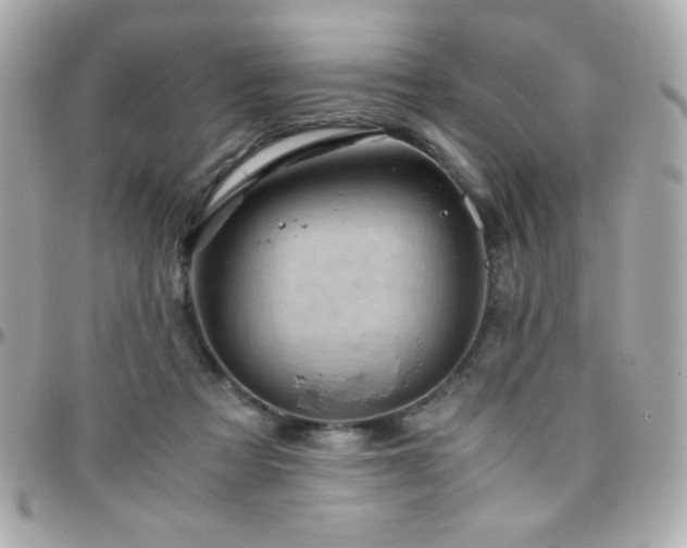 X0000096460313200801241412