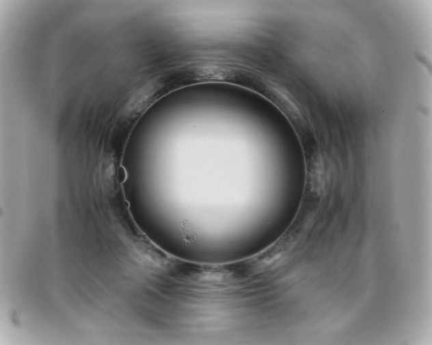 X0000096460314200801241412