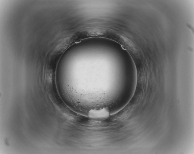 X0000096460315200801241412