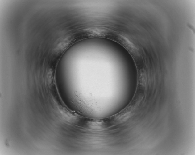 X0000096460318200801241412