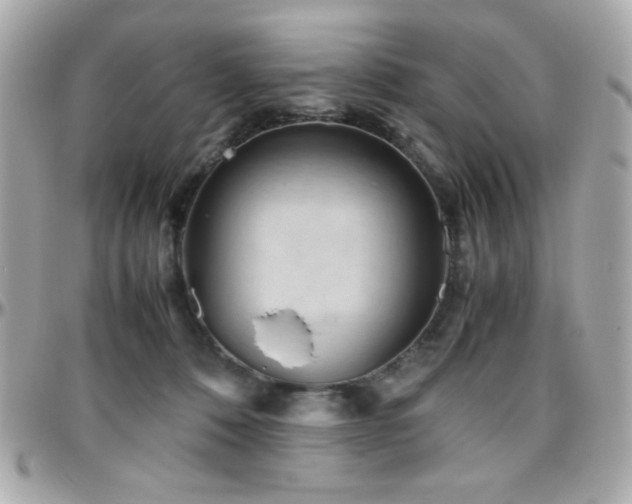 X0000096460320200801241412