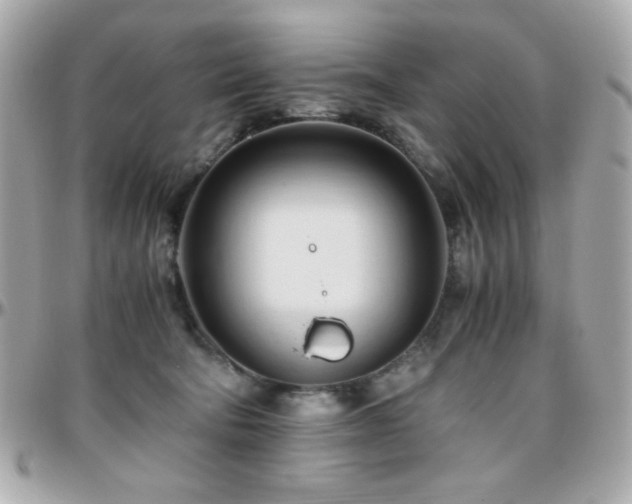 X0000096460322200801241412
