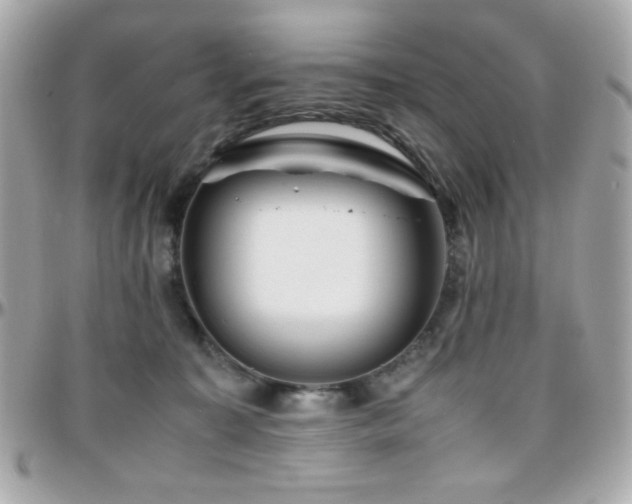 X0000096460323200801241412