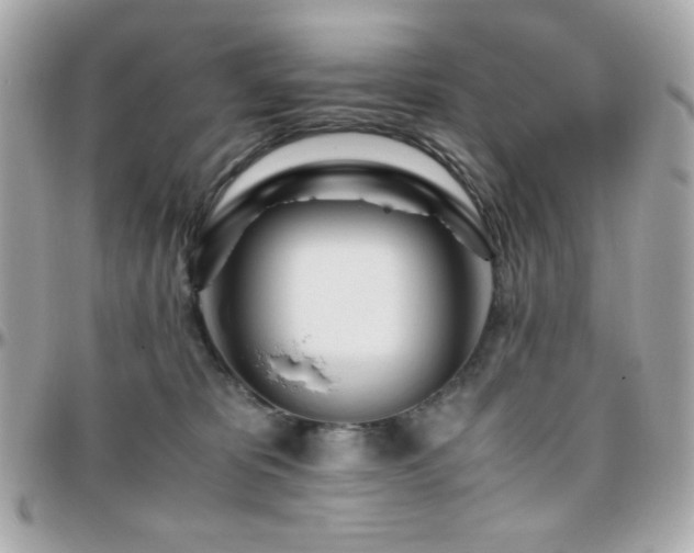 X0000096460325200801241412