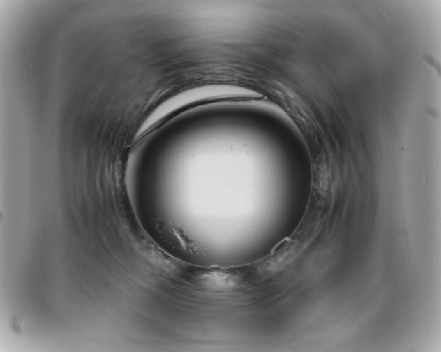 X0000096460326200801241412