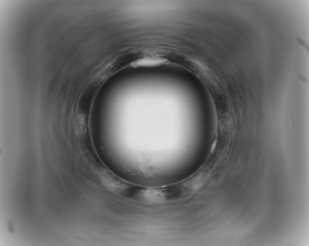 X0000096460327200801241412