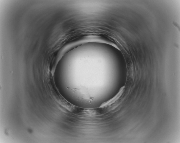 X0000096460328200801241412