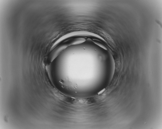 X0000096460329200801241412