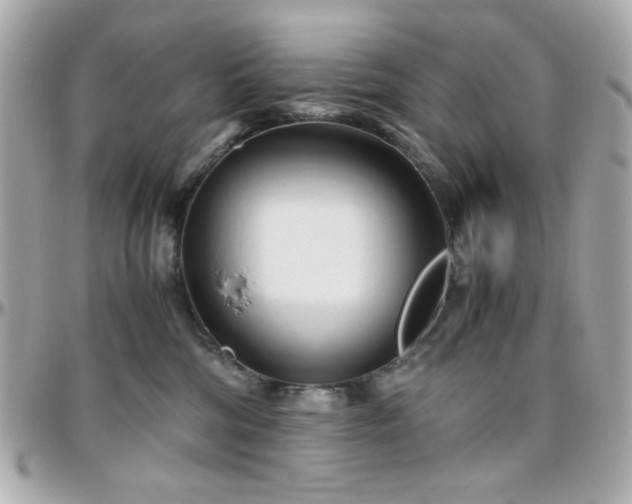 X0000096460330200801241412