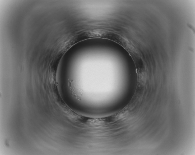 X0000096460331200801241412