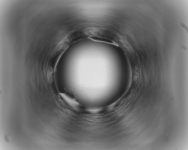 X0000096460332200801241412