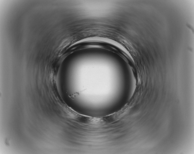 X0000096460333200801241412