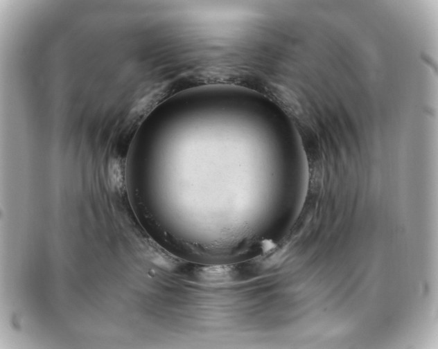 X0000096460335200801241412