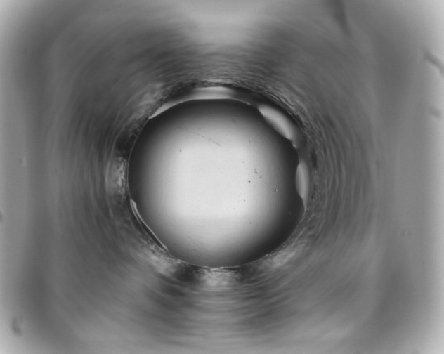 X0000096460336200801241412