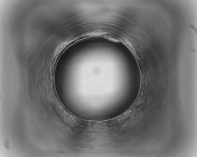 X0000096460337200801241411