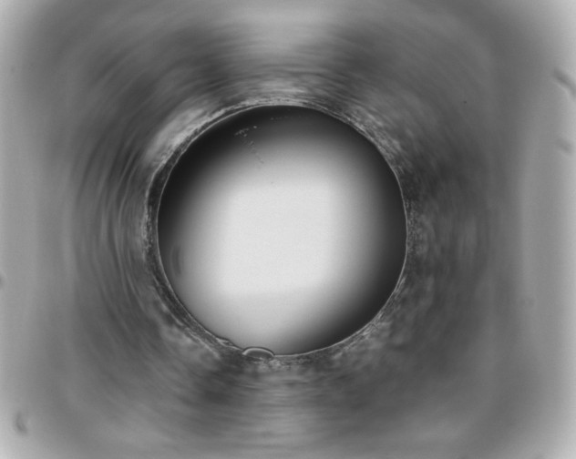 X0000096460338200801241411