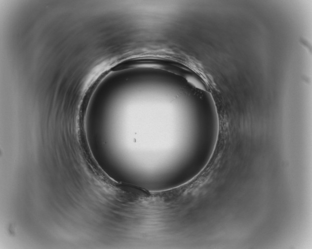 X0000096460340200801241411