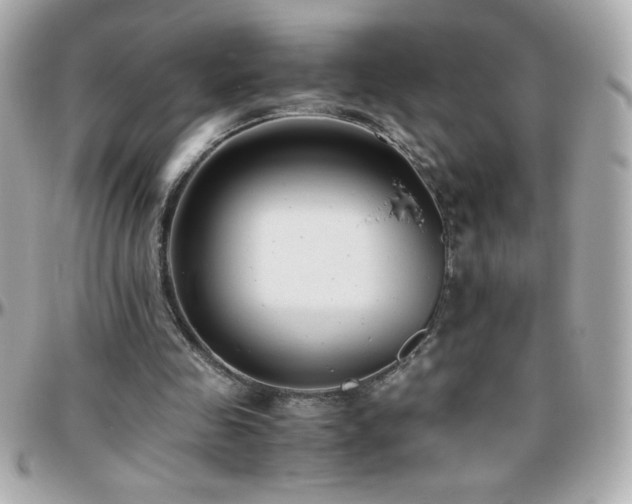 X0000096460341200801241411