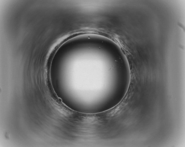 X0000096460342200801241411