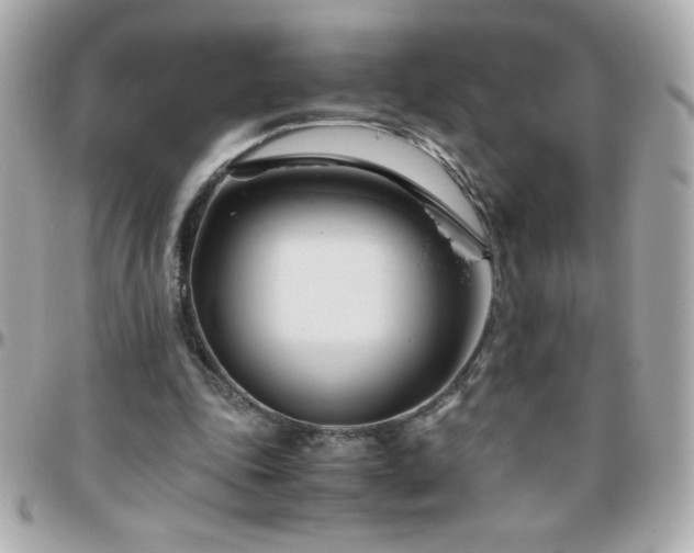 X0000096460343200801241411