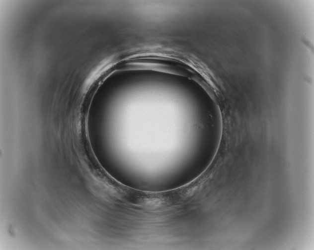 X0000096460344200801241411