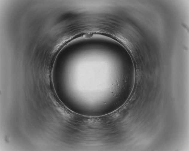 X0000096460345200801241411
