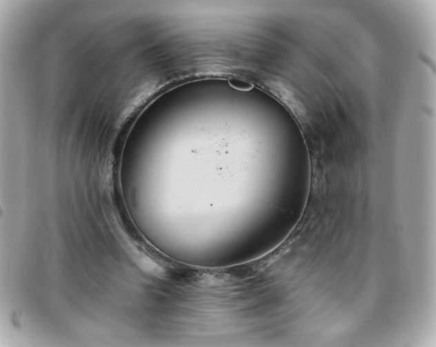 X0000096460346200801241411