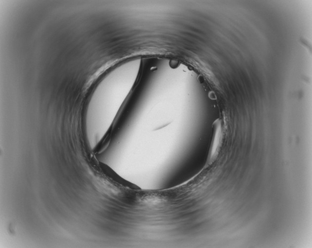 X0000096460348200801241411
