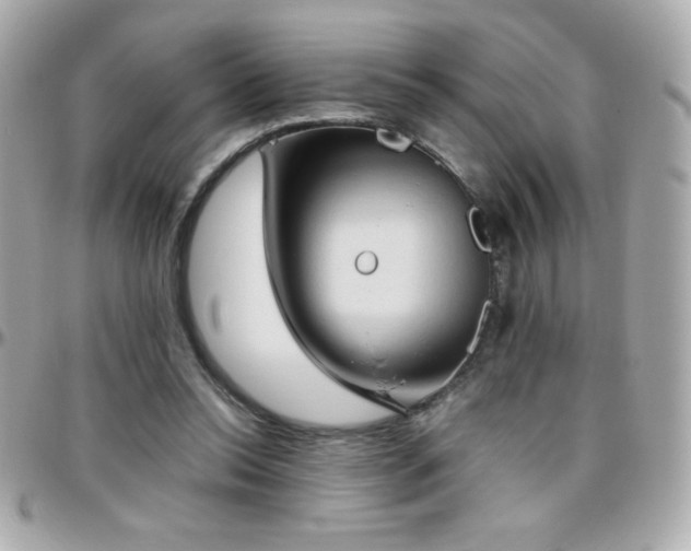 X0000096460350200801241411